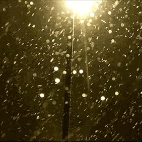 绥化天气预报15天(绥化天气预报15天查询百度) 绥化天气预报15天(绥化天气预报15天查询百度)