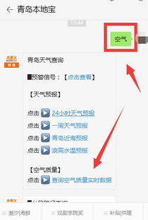 空气质量实时监测查询(青岛空气质量实时监测查询) 空气质量实时监测查询(青岛空气质量实时监测查询)