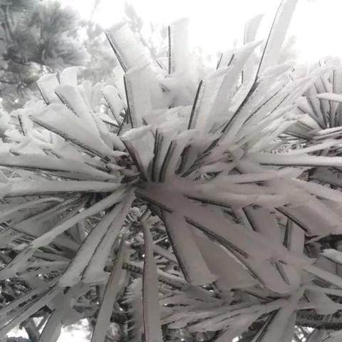 庐山天气（庐山天气预报）