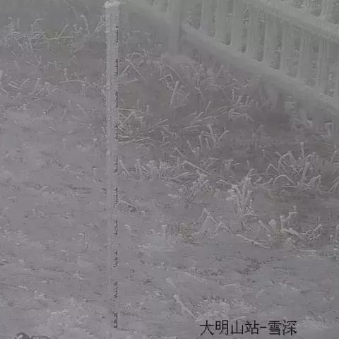 临安天气预报30天（临安 天气预报）