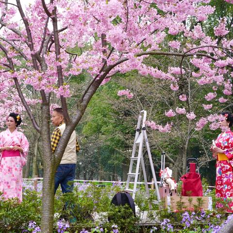 武汉天气预报7天(武汉天气预报7天详情) 武汉天气预报7天(武汉天气预报7天详情)