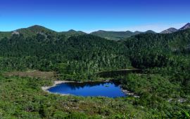 老君山天气预报（老君山天气预报15天准确一览表）