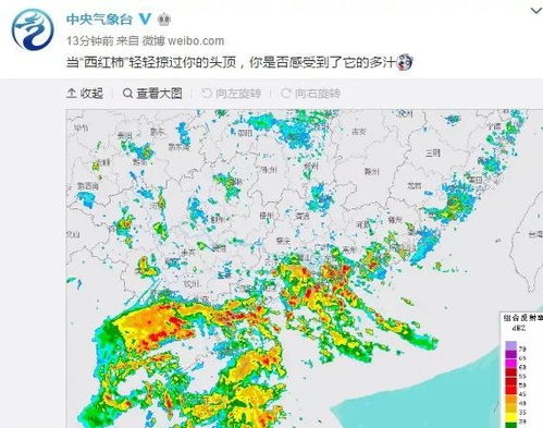 未来10天台风胚胎最新消息(未来10天台风预测) 未来10天台风胚胎最新消息(未来10天台风预测)